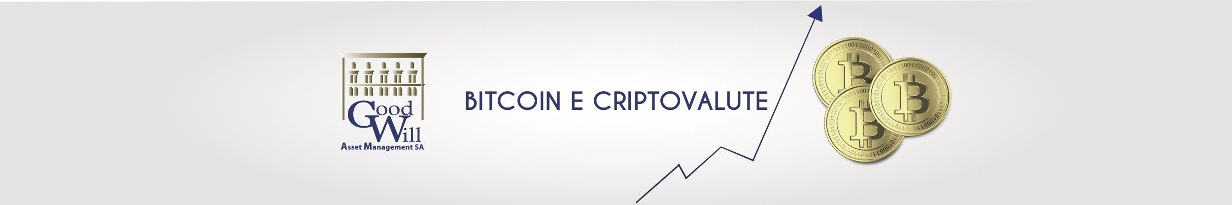 Bitcoin e criptovalute, Goodwill Asset Management